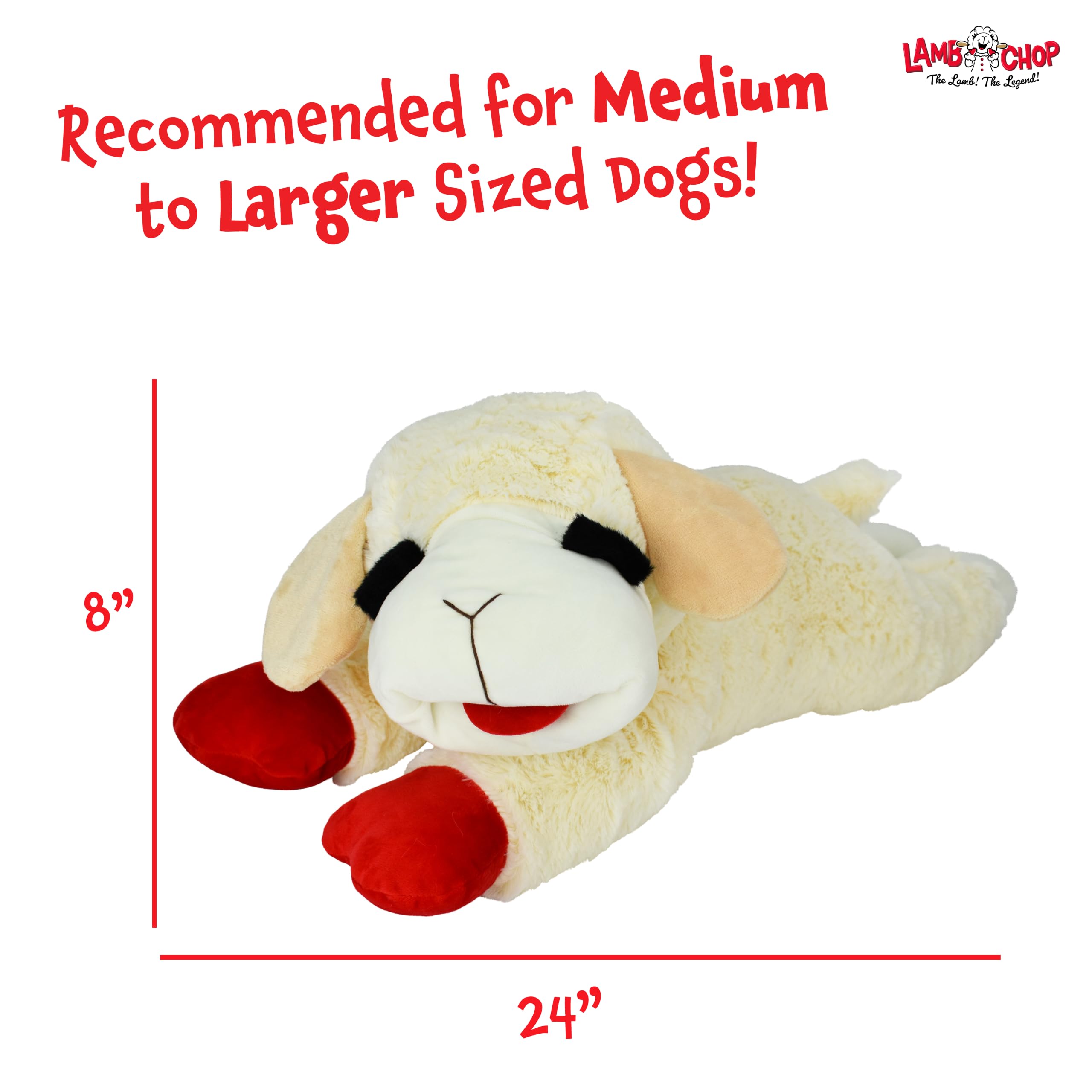 Amazon.com: Multipet Lamb Chop Dog Plush Toy - Squeaky Toy for All